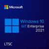 Windows 10 IoT Enterprise LTSC 2021 (con soporte hasta enero de 2032)